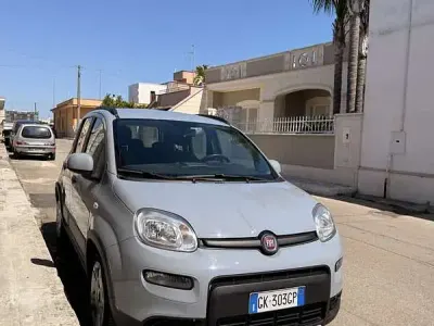 Usata Fiat Panda City Life 69 CV (50 kW) 2022 Utilitaria