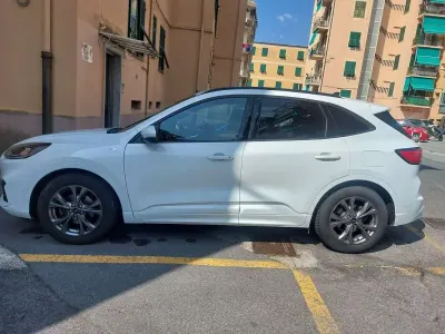 Usata Ford Kuga ST-Line 120 CV (88 kW) 2020 Bianco SUV