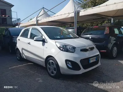 Usata Kia Picanto 69 CV (50 kW) 2015 Bianco Utilitaria