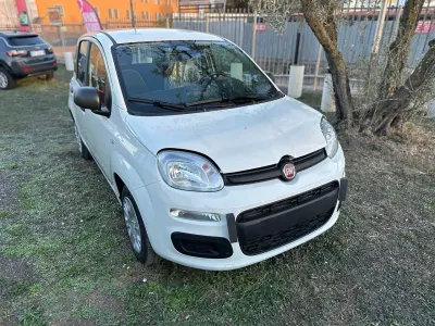 Usata Fiat Panda