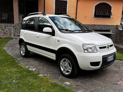 Usata Fiat Panda 4x4 2010 Utilitaria