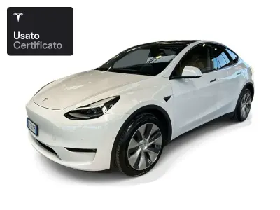 Usata Tesla Model Y Long Range AWD 258 kW (351 CV) 2021 Pearl white multicoat SUV