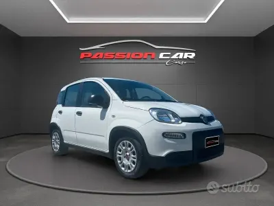 Usata Fiat Panda S 70 CV (51 kW) 2024 Bianco Utilitaria