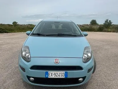 Usata Fiat Punto Lounge 69 CV (50 kW) 2014 Utilitaria