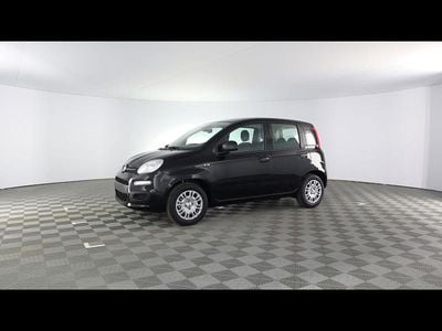 Nuova Fiat Panda Icon 70 CV (51 kW) 2025 Nero cinema Utilitaria