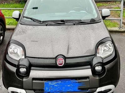 Usata Fiat Panda Cross 69 CV (50 kW) 2023 Grigio Utilitaria