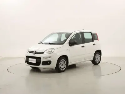 Usata Fiat Panda 69 CV (50 kW) 2020 Bianco Utilitaria
