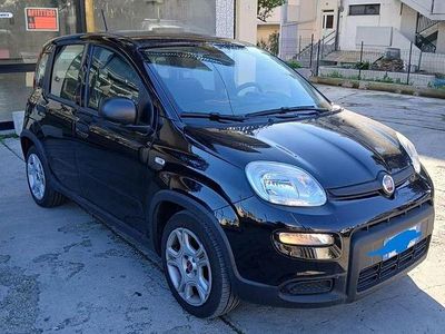Usata Fiat Panda 51 CV (37 kW) 2023 Nero Utilitaria