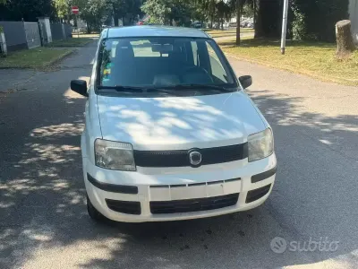 Usata Fiat Panda Active 54 CV (39 kW) 2009 Bianco Utilitaria