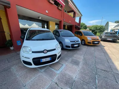 Usata Fiat Panda Easy 69 CV (50 kW) 2021 Grigio Utilitaria