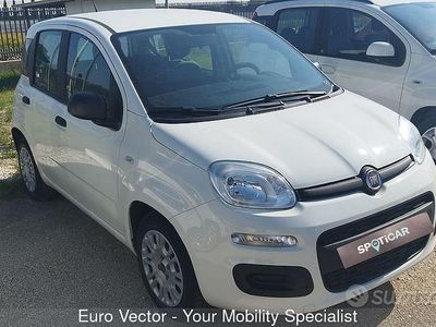 Usata Fiat Panda S 70 CV (51 kW) 2021 Bianco Utilitaria