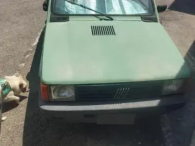 Usata Fiat Panda 39 CV (28 kW) 1999 Verde Berlina