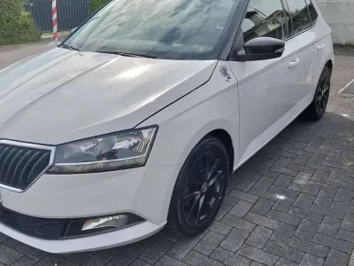 Usata Skoda Fabia