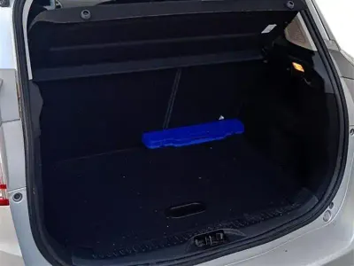 Usata Ford B-MAX