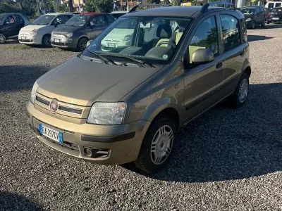 Usata Fiat Panda Dynamic 60 CV (44 kW) 2010 Grigio Utilitaria