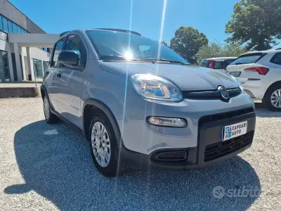 Usata Fiat Panda 69 CV (50 kW) 2022 Grigio Utilitaria