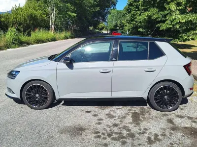 Usata Skoda Fabia
