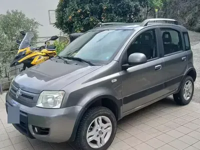 Usata Fiat Panda 4x4 75 CV (55 kW) 2011 Grigio Utilitaria