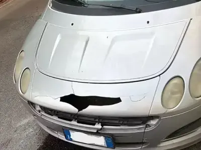 Usata Smart ForFour