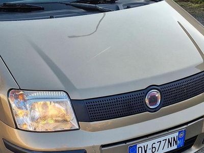 Usata Fiat Panda Active 54 CV (39 kW) 2009 Marrone Berlina