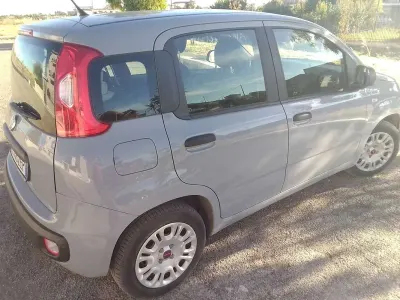 Usata Fiat Panda Easy 69 CV (50 kW) 2017 Grigio Utilitaria