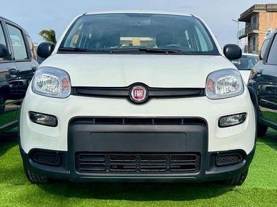Usata Fiat Panda 71 CV (52 kW) 2024 Bianco Utilitaria