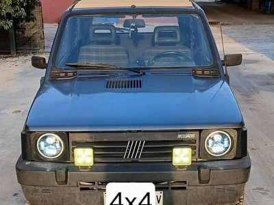 Usata Fiat Panda 4x4 Club 50 CV (36 kW) 1993 Verde Utilitaria