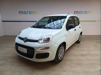 usata Fiat Panda 1.0 FireFly S&S Hybrid Easy usato