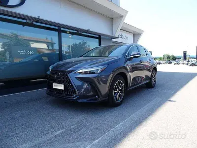 Usata Lexus NX350h Business Edition 243 CV (178 kW) 2023 Grigio SUV