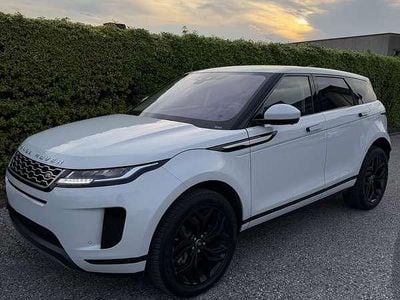 Usata Land Rover Range Rover evoque S 200 CV (147 kW) 2020 Bianco SUV
