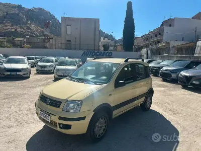 Usata Fiat Panda 4x4 60 CV (44 kW) 2009 Giallo Utilitaria