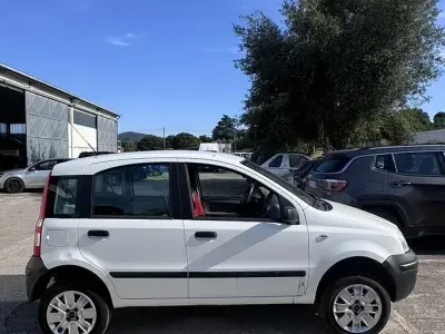 Usata Fiat Panda 4x4 69 CV (50 kW) 2006 Bianco Utilitaria