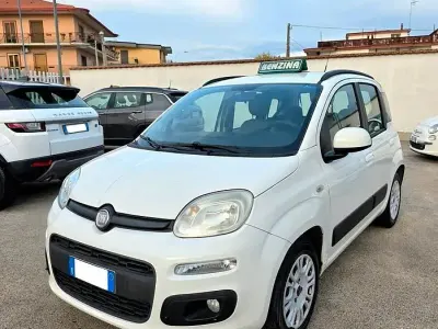 Usata Fiat Panda Easy 69 CV (50 kW) 2012 Bianco Utilitaria