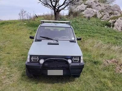 Usata Fiat Panda 50 CV (36 kW) 1988 Verde Berlina