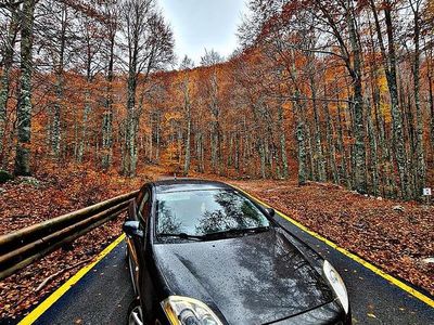 Usata Fiat Bravo Sport 165 CV (121 kW) 2009 Grigio Utilitaria