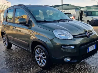 Usata Fiat Panda 4x4 S 95 CV (69 kW) 2017 Verde Utilitaria