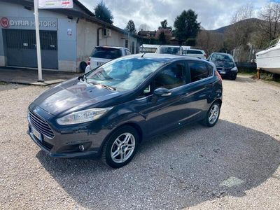 usata Ford Fiesta 1.5 TDCi 75CV 5 porte Titanium