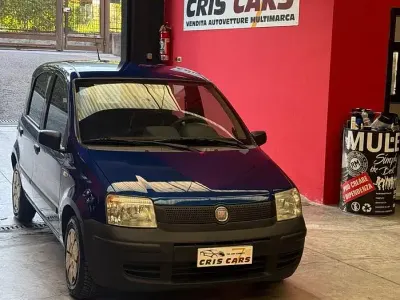 Usata Fiat Panda Active 54 CV (39 kW) 2010 Blu Utilitaria