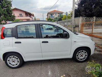 Usata Fiat Panda 69 CV (50 kW) 2014 Bianco Utilitaria