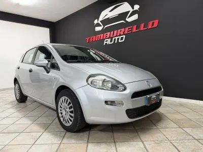 Usata Fiat Punto Street 75 CV (55 kW) 2014 Grigio Utilitaria