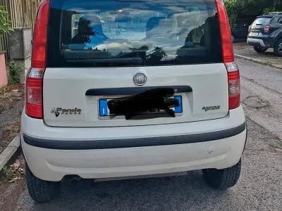 Usata Fiat Panda Dynamic 60 CV (44 kW) 2009 Bianco Utilitaria