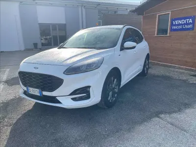 Usado Ford Kuga ST-Line X 120 CV (88 kW) 2022 Blanco SUV