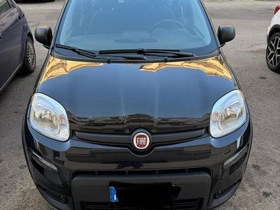 Usata Fiat Panda 70 CV (51 kW) 2024 Nero Utilitaria