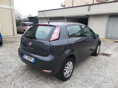 usata Fiat Punto Punto Evo 1.2 5 porte Dynamic