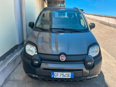 Usata Fiat Panda Cross Cross 70 CV (51 kW) 2021 Grigio Utilitaria