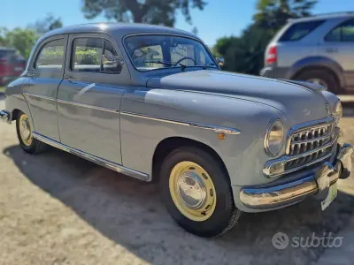 Usata Fiat 1900 58 CV (42 kW) 1950 Grigio Berlina