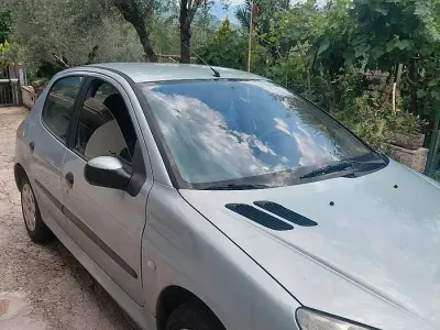 Usata Peugeot 206