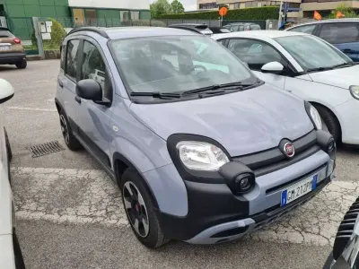 Usata Fiat Panda Cross