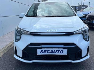 Usata Kia Picanto Urban 63 CV (46 kW) 2024 0q bianco puro Utilitaria