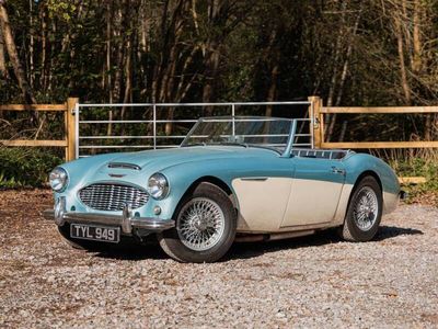Austin Healey 100/6